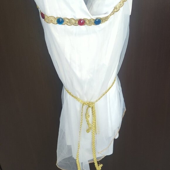 Greek Goddess White and Gold Costume - Size 4-6 Small NWT - Picture 4 of 4